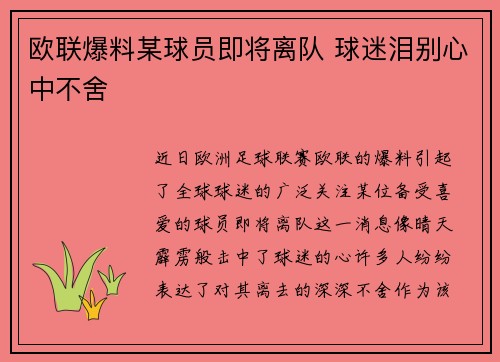 欧联爆料某球员即将离队 球迷泪别心中不舍